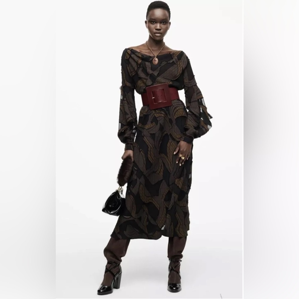 NWT Zaralimited edition dress